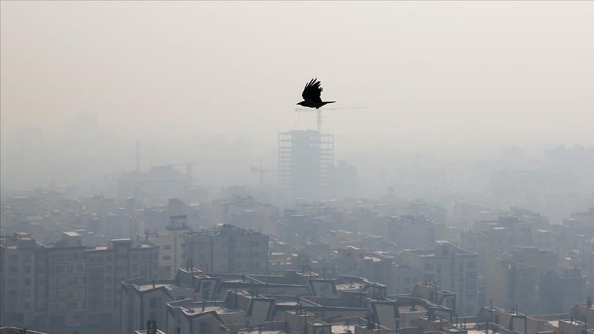آلودگی هوای تهران - تصفیه هوا ایرجوی